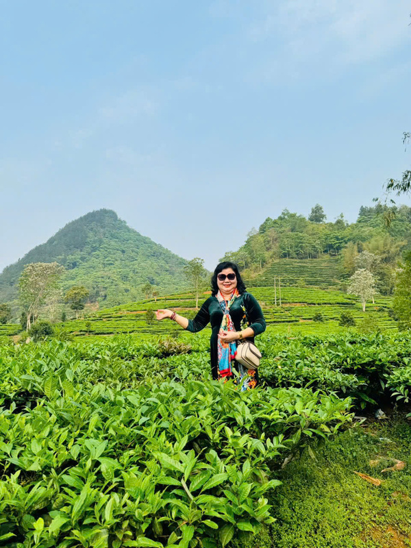 Hình ảnh công ty Chè Hoài Trung
